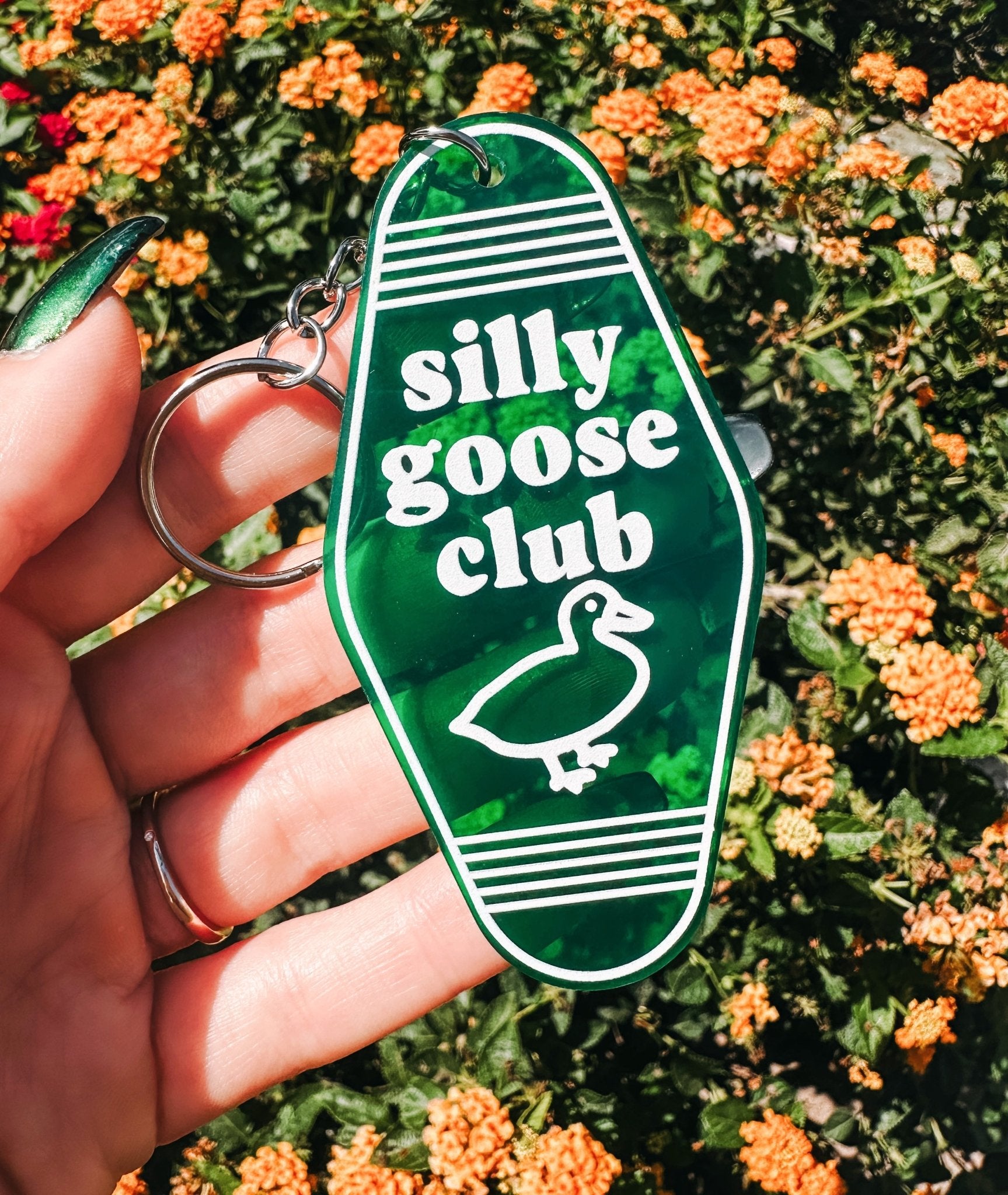 Pin on silly goose